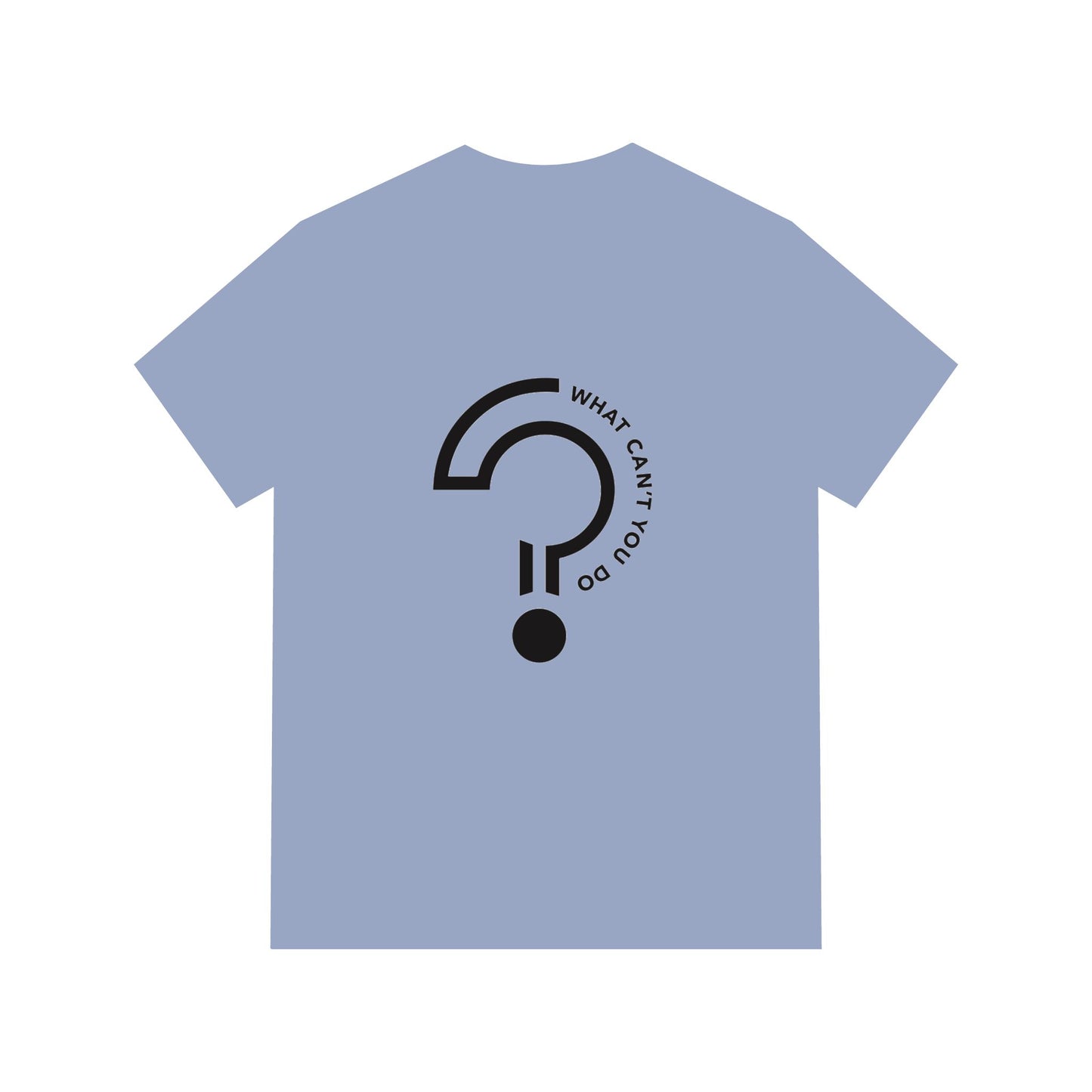 What Can't You Do? Acid Washed Tee: "Create. Inspire. Disrupt."