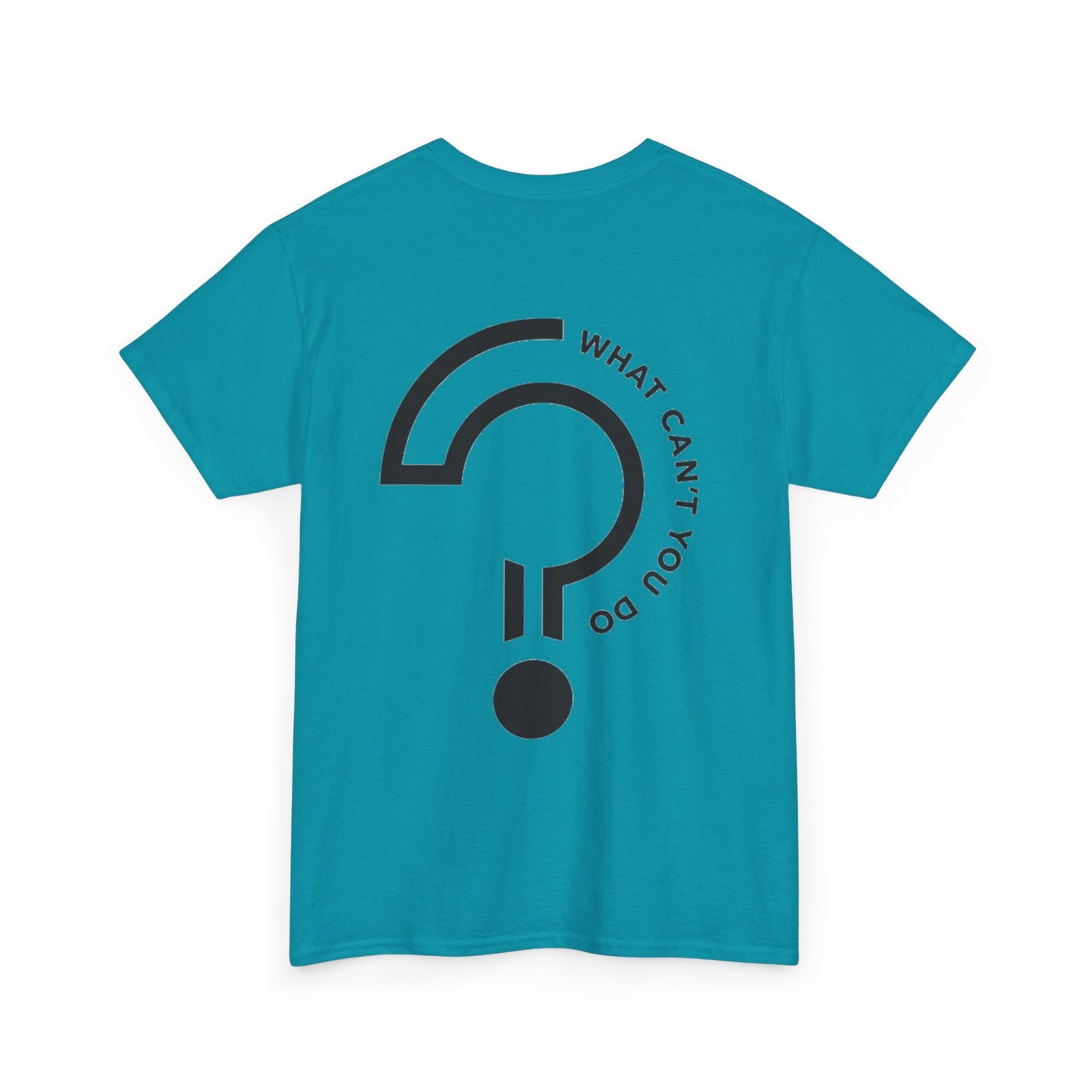 "Create, Inspire, Disrupt" T-Shirt: What Can't You Do?